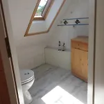 Kranich *
